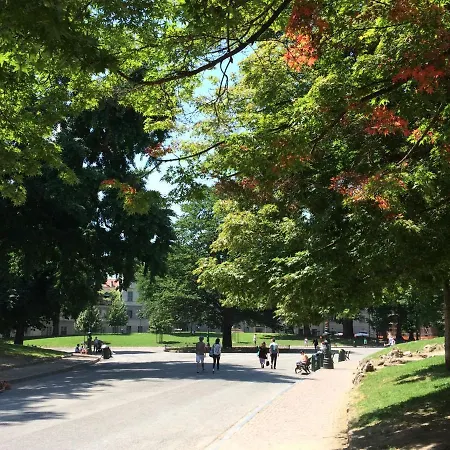 Lägenhet Comfort Zone-charming, Quiet, Historic Center